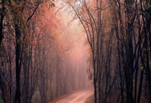 PG电子游戏-阿森纳力克曼联，稳固联赛前四位置