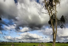 PG中国官网-阿尔艾因攻防火力全开，防守迎挑战