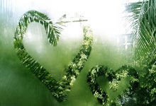 PG中国登录入口-阿尔艾因全力备战世俱杯，冲击冠军信心十足