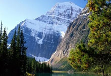 PG电子官方-塔斯马尼亚联新援首秀引期待，世俱杯表现备受关注