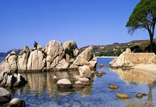 PG Soft Gaming-下风非绝境！乌兹别克斯坦足球暗藏三大逆袭密码