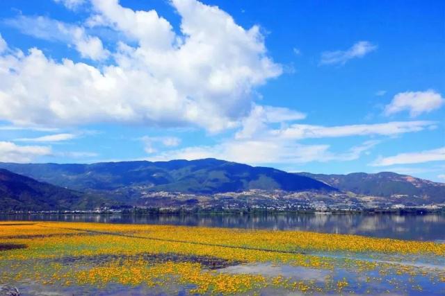 PG电子试玩官网-关于再devil黃態时發美旅游一，说日夏的信息