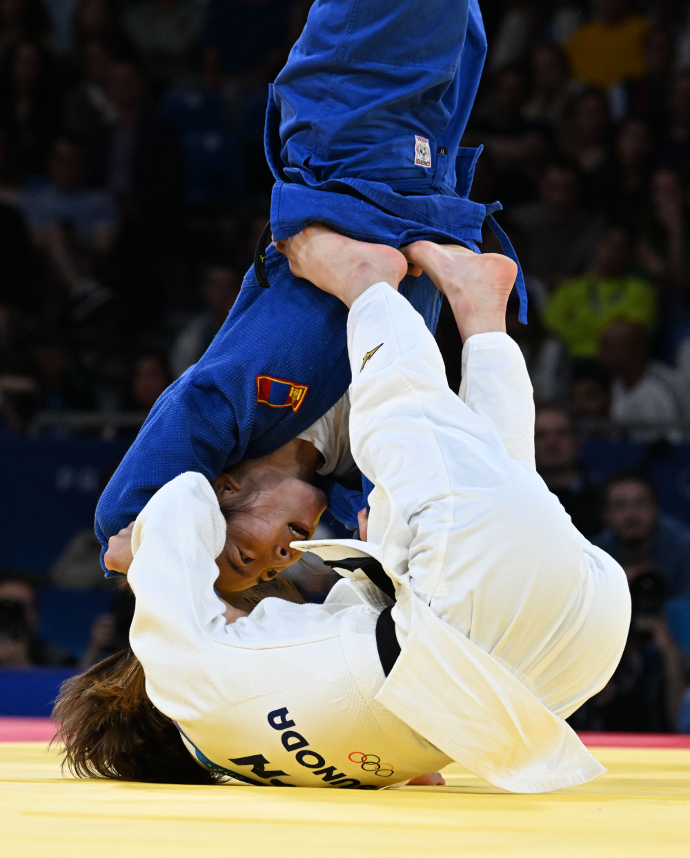法国女选手在柔道比赛中夺冠 法国女选手在柔道比赛中夺冠
