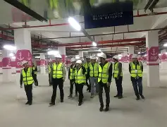 PG电子试玩-关于辛巴威代表团喜获多面奖牌，勇夺佳绩的信息