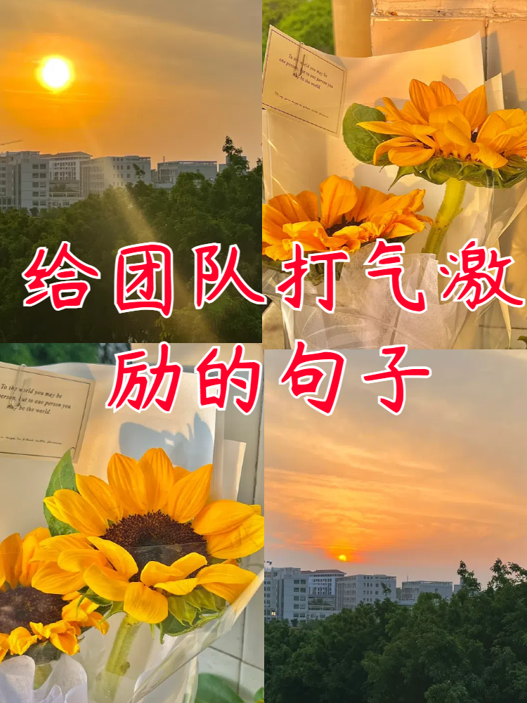 PG平台-包含团队胜场：共同努力战胜对手的词条