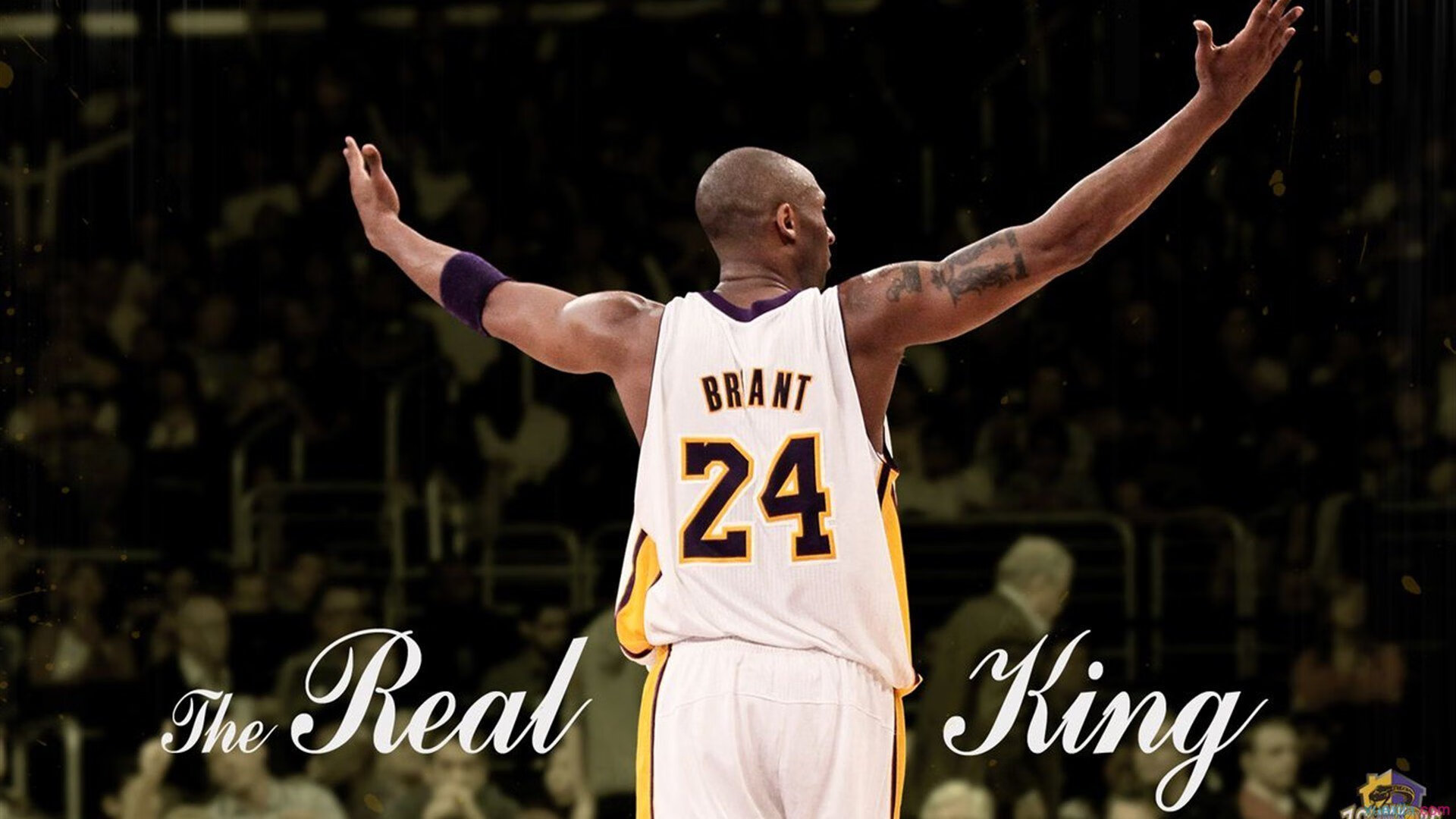 黄鸭怒放,当草根狂欢淹没傲慢的精英运动